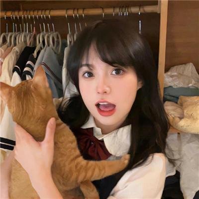 丛林小屋